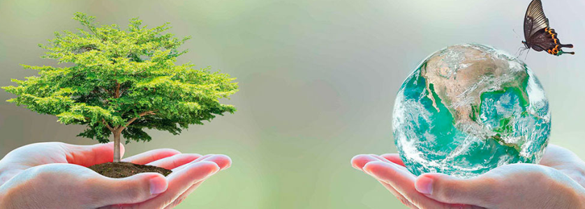 Boletín 47-18 ¡Siembra un árbol, siembra vida!