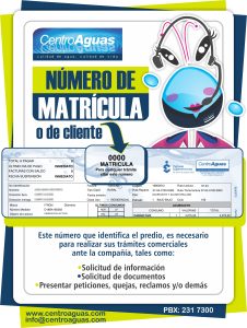 Número de matrícula ubicado en la parte superior de la factura