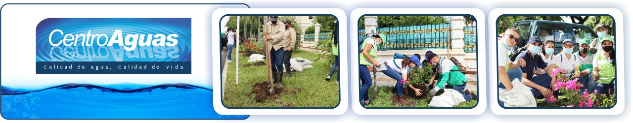 se ven funcionarios de la empresa realizando labores de siembra Diseño con tres fotografías donde se ven funcionarios de la empresa realizando labores de siembra
