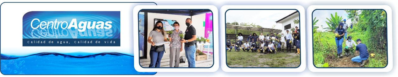 entrega de plantas y la siembra en terreno con personal de centroaguas y usuarios diseño con tres fotografías de la entrega de plantas y la siembra en terreno