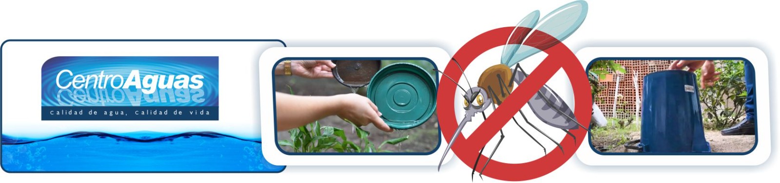 Evita la propagación del Dengue evitando depósitos de agua Diseño con imágenes que referencian recipientes sin agua represada