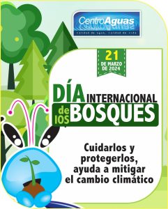 Día Internacional de los Bosques