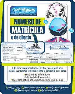 ¿Conoce su número de matrícula?