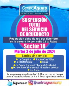 Diseño de suspensión del servicio