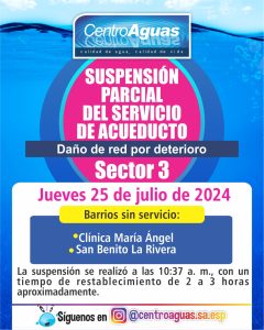Diseño de suspensión del servicio