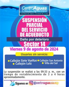 Diseño de suspensión del servicio