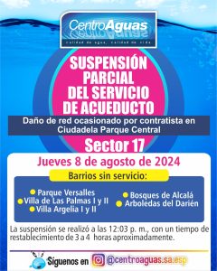 Diseño de suspensión del servicio