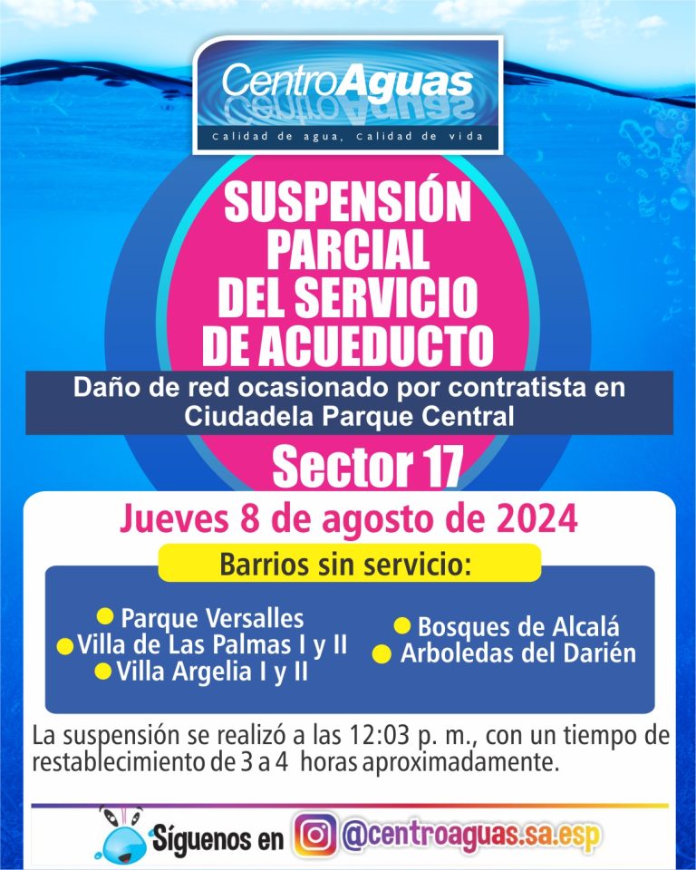 Diseño de suspensión del servicio