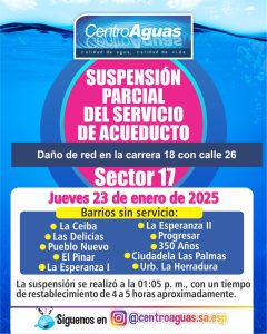 Diseño de suspensión del servicio
