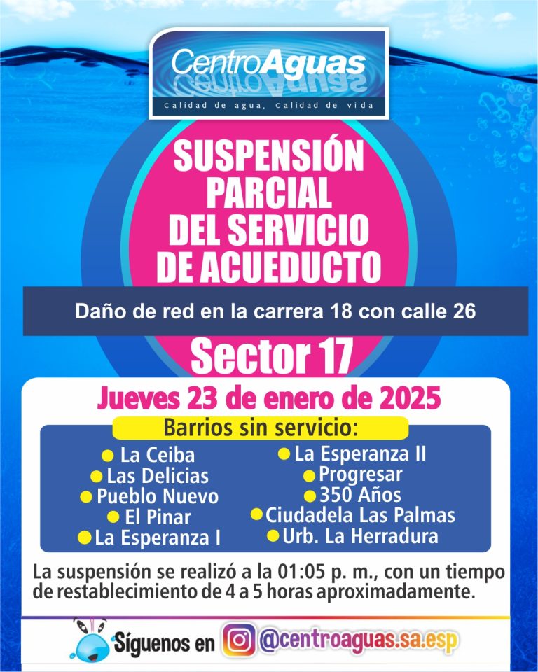 Diseño de suspensión del servicio