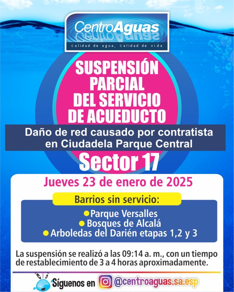 Diseño de suspensión del servicio