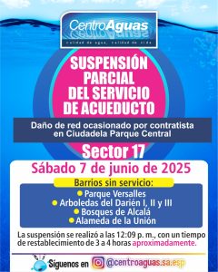 Diseño de suspensión del servicio
