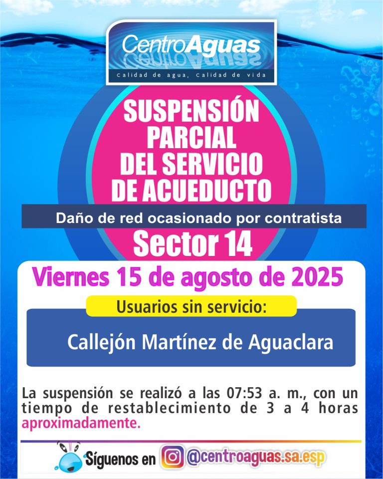 Diseño de suspensión del servicio