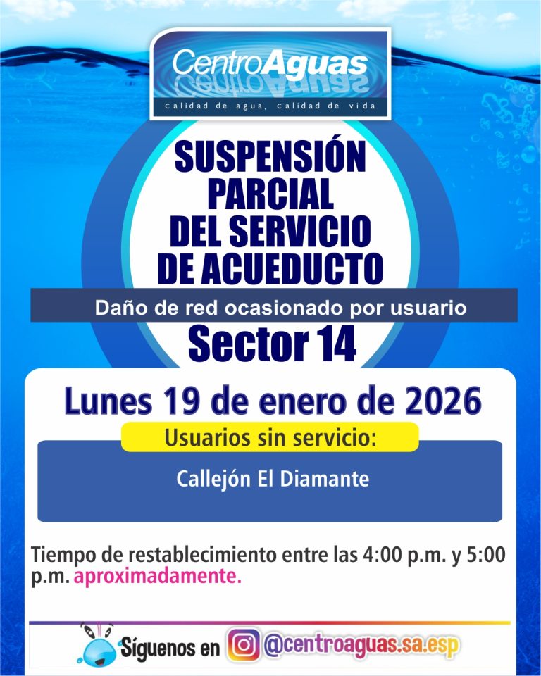 Diseño suspensión del servicio