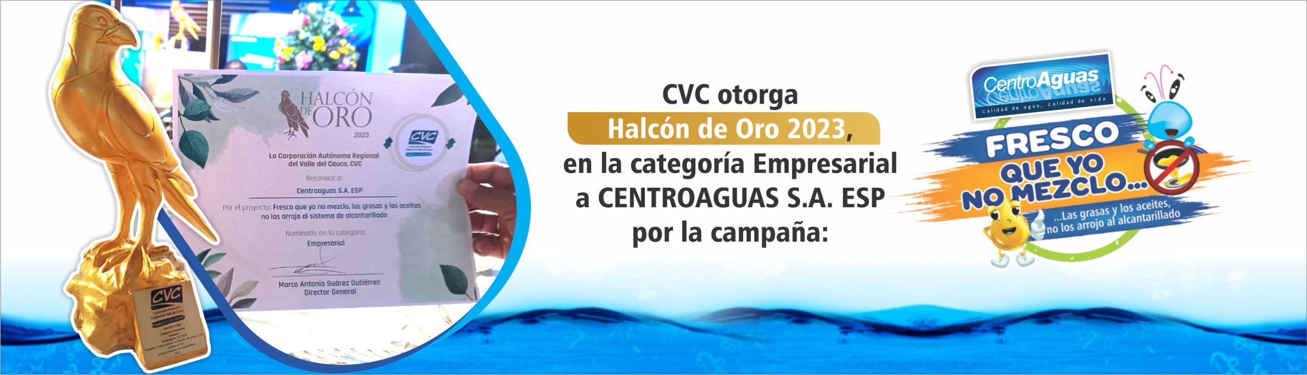 1AA_Ganadores_Halcn