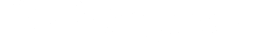 Consultant